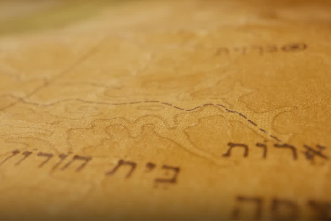 This Is Our Land
